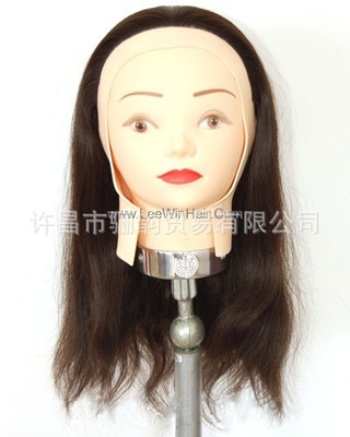 工厂直供，专业之选——深度解析许昌市骊韵贸易教学教习头